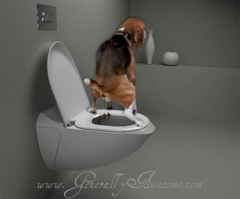 dog-on-toilet.jpg